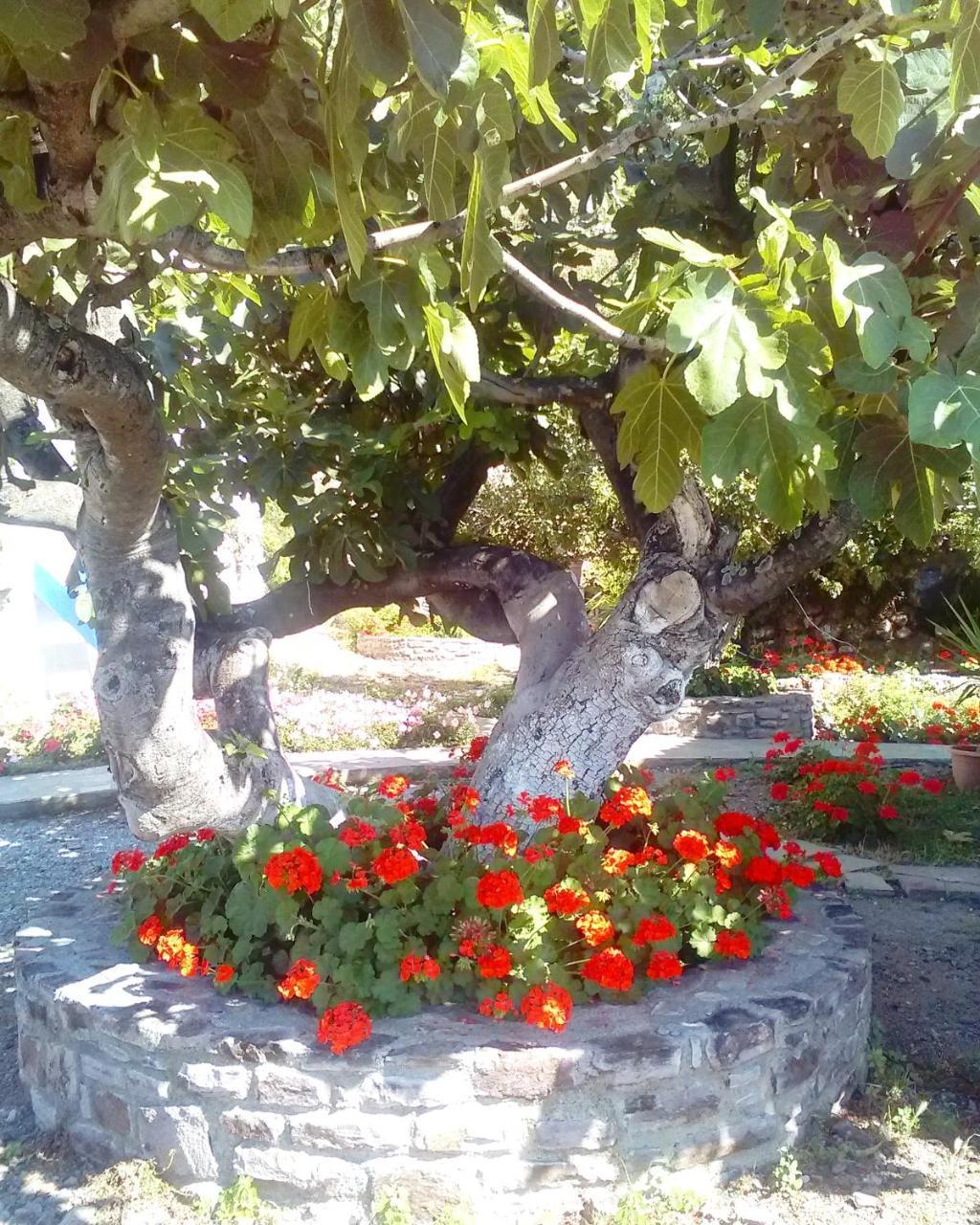 Enalion Apartments Agios Ioannis Kaspaka Екстер'єр фото